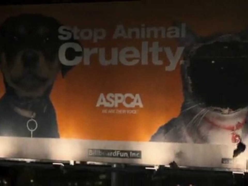 Cats and Dogs : The Revenge of Kitty Galore [Trailer]