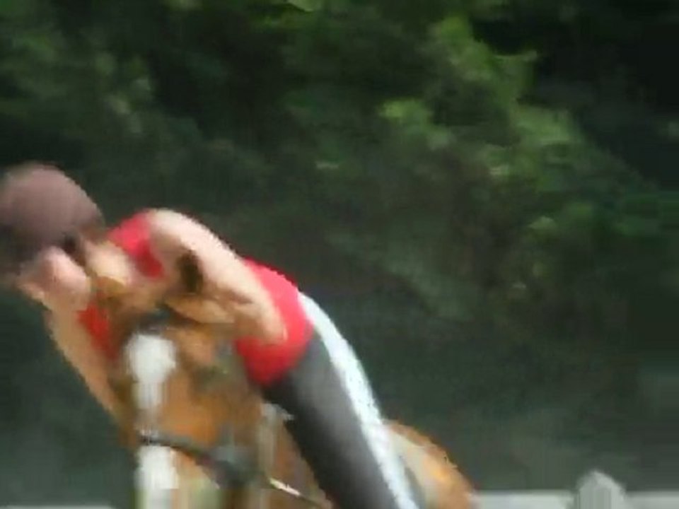 Elvira et Moi - Obstacle 5 juin - Refus presque chute