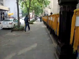 These vagabond shoes