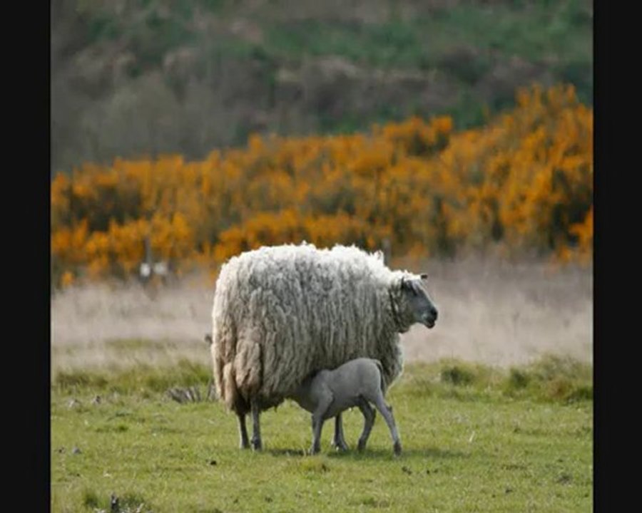 Les Anarchitectures de Damien Saez