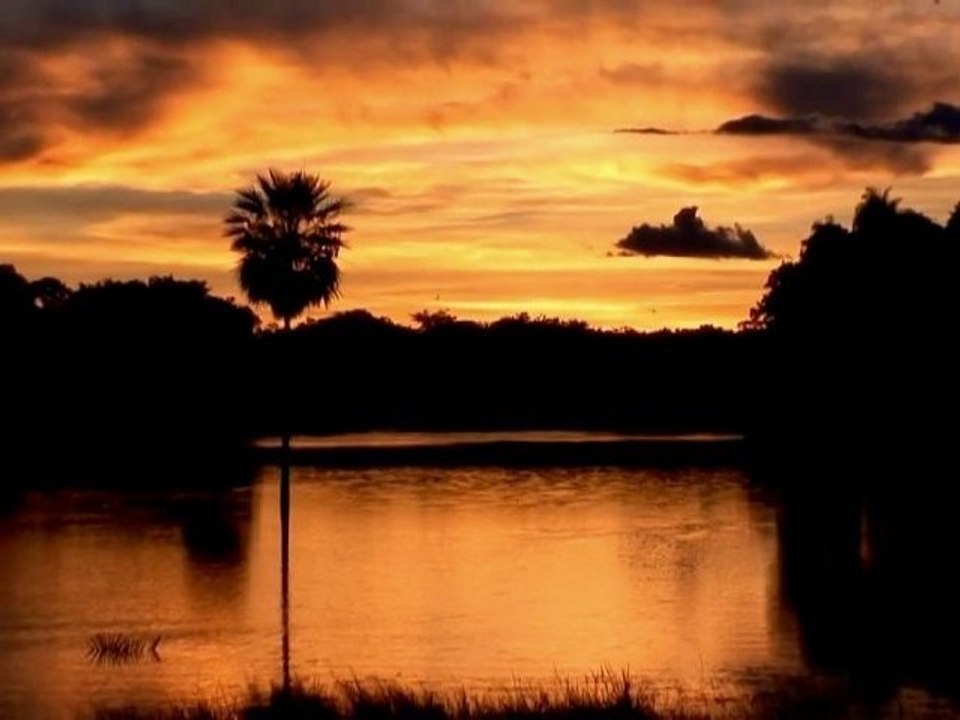 The Pantanal - A Jewel of South America