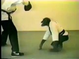 Karateci Maymun-Komik