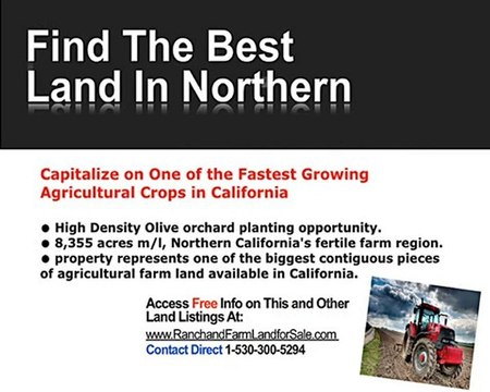 Olive Farm for sale - Olive farms for sale in California -