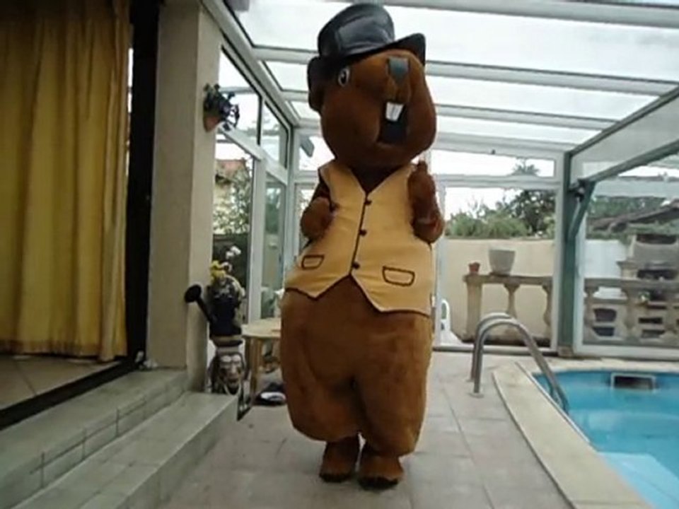 greg le castor la danse des castors mieux que les canards