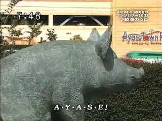 saku2 100608 3 かながわ33市町村のアンソロジー(25)(26)