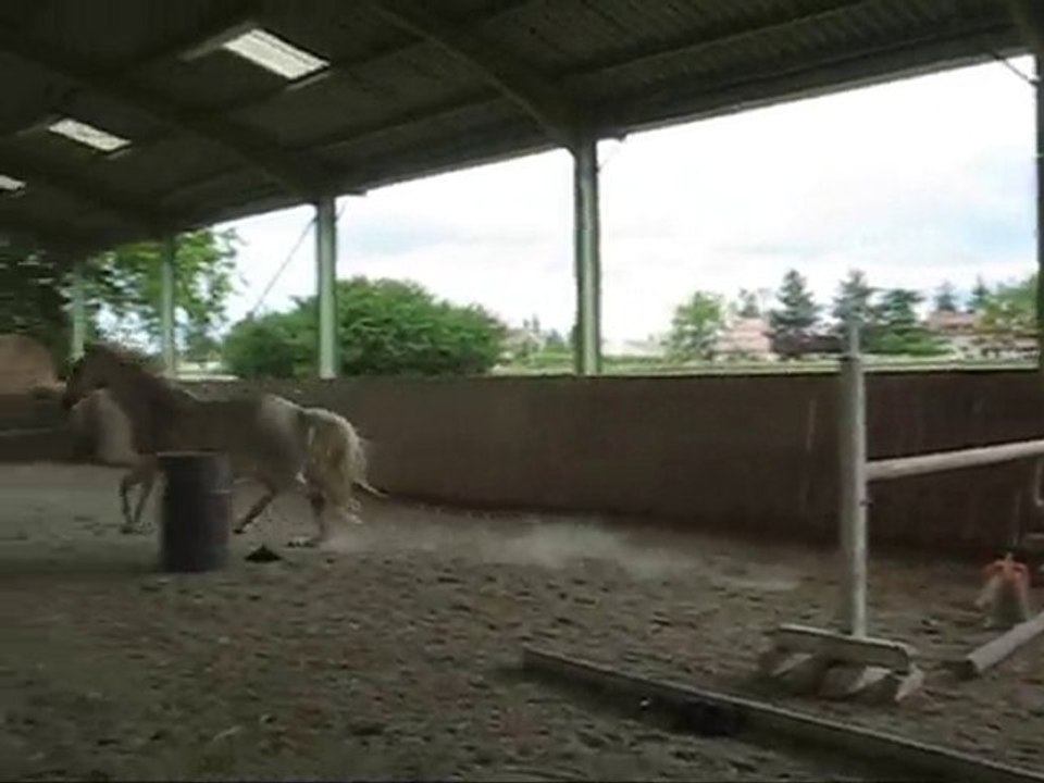 kamok1