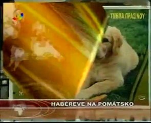 pomakca haber2