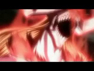 Bleach AMV - Animals