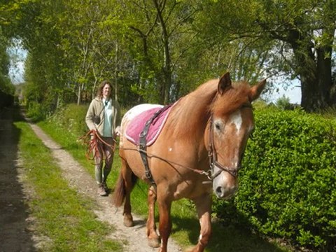 sortie aux longues rênes