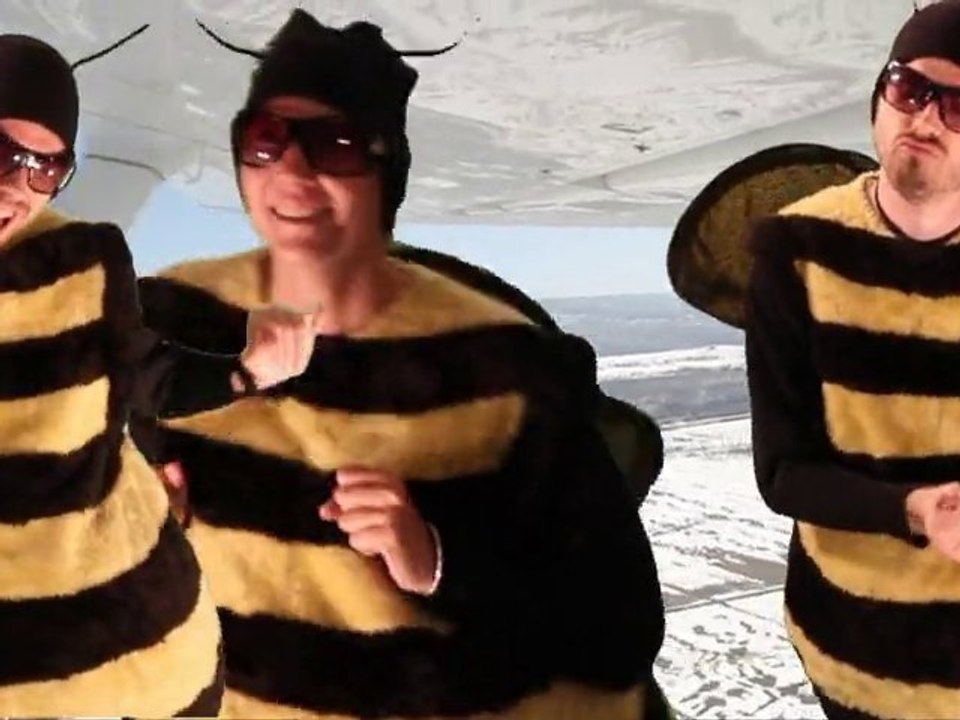 making of bzz