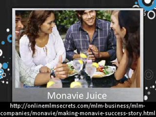 Monavie Income Opportunity
