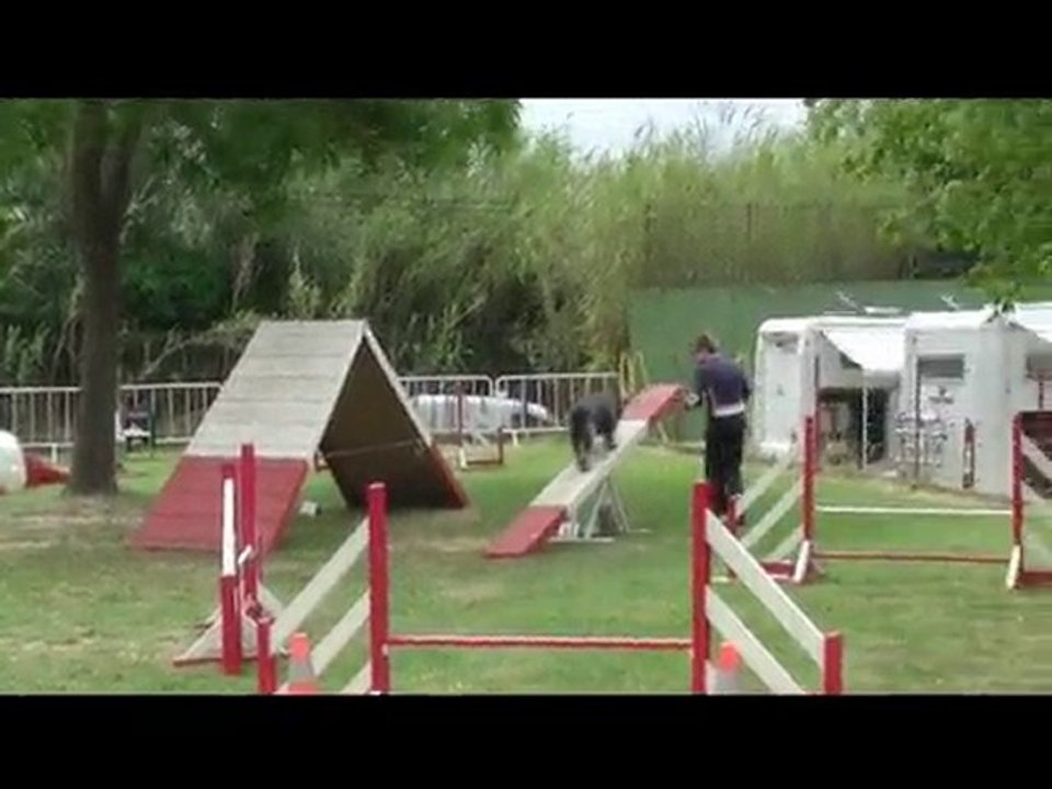Buck Agility Arles 06/06/10