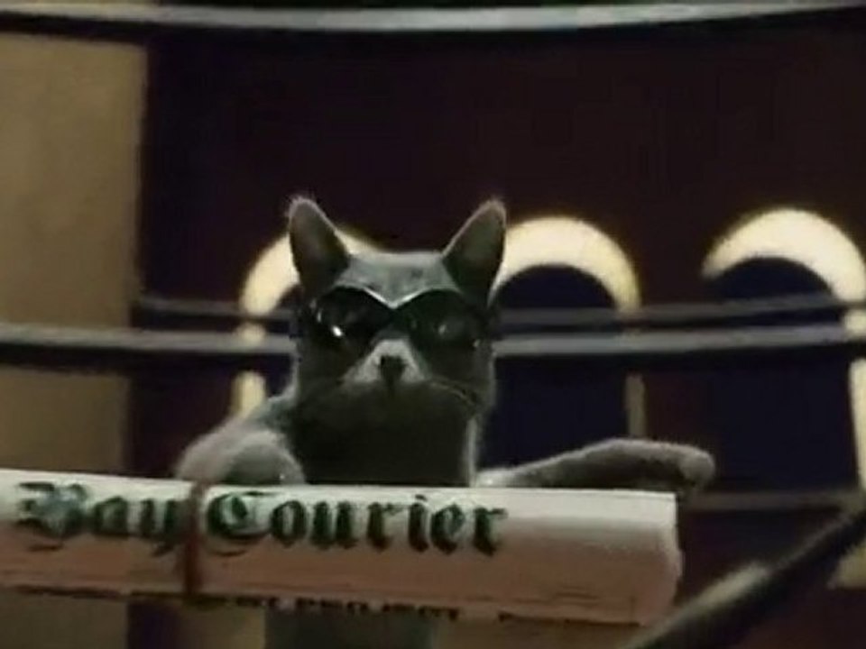 Comme chiens et chats: La Revanche de Kitty Galore - HD & FR