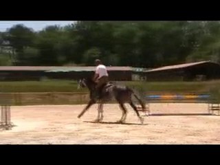 SIMPA DU PLESSIS 1er enchainement 4 ANS A  VENDRE