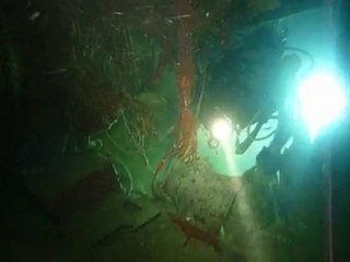 Plongée de nuit sur le Toho 5