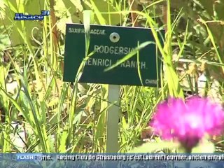 "Rendez-vous aux Jardins" à Saverne