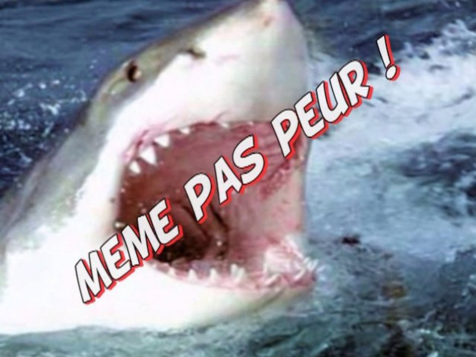 Même pas peur !