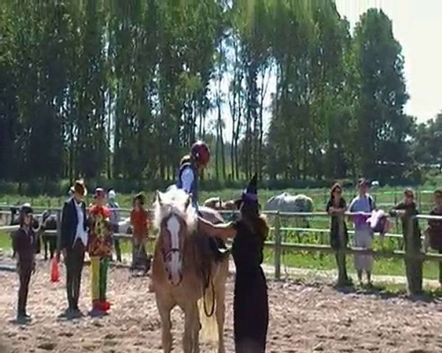 Voltige fête du cheval 2