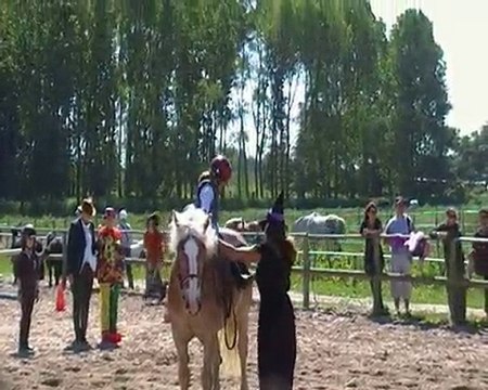 Voltige fête du cheval 2