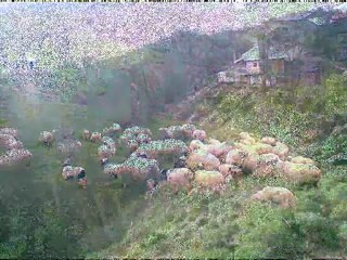 A.GÖKÇE GENÇLİK KOLLARI