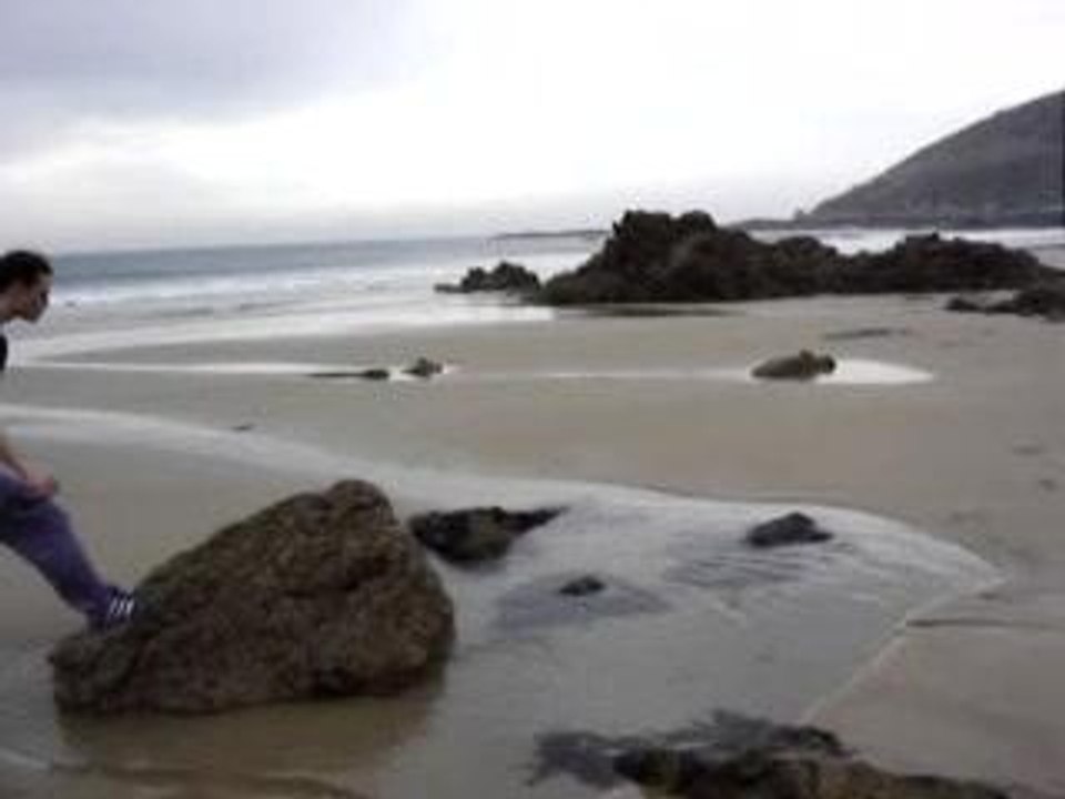 playa 039