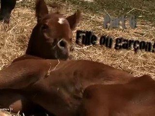 Une semaine avec...le Dr Gilles Baratoux - 6ème partie.