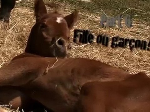 Une semaine avec...le Dr Gilles Baratoux - 6ème partie.