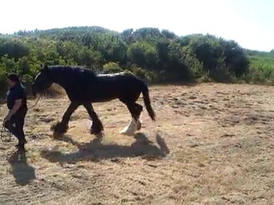 GAME FAIR 2010 @ TARQUINIA LOC SPINICCI 20° ANNO 2 EMATUBE @