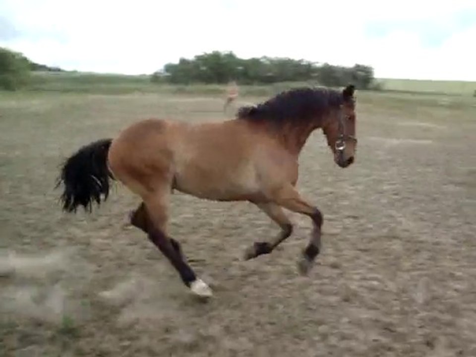 Foufou