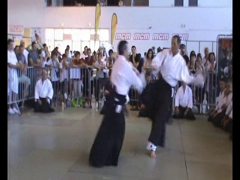 2010 06 05 DEMONSTRATION D AIKIDO AU JAPANIMES