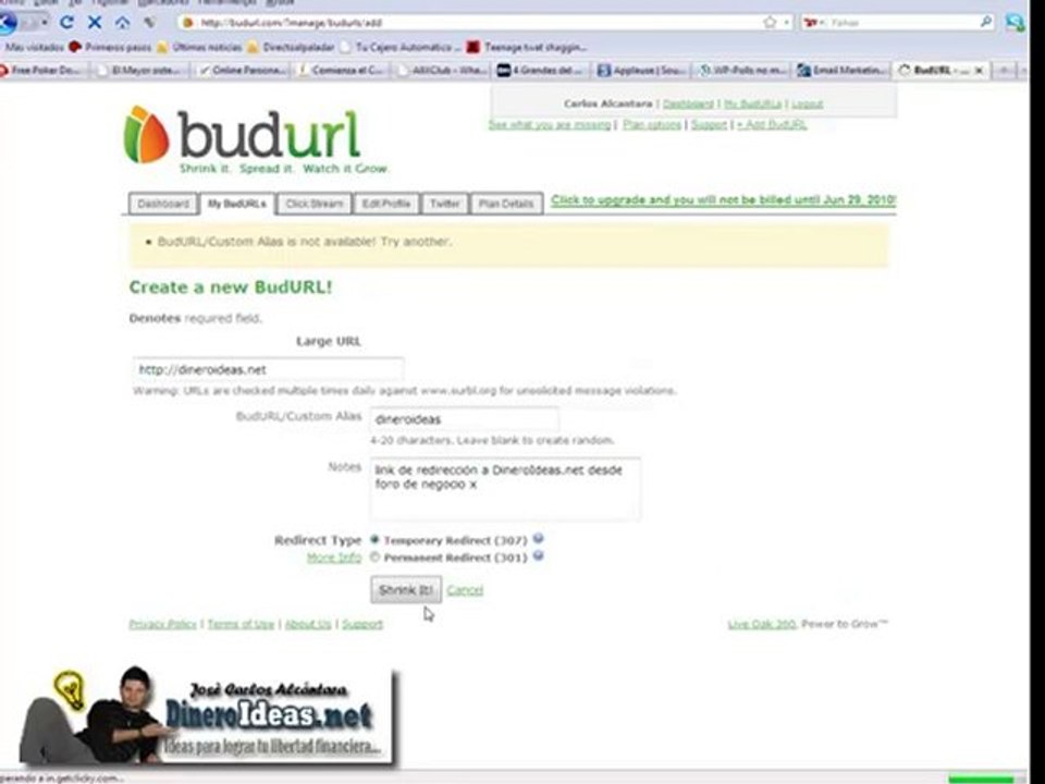 DineroIdeas.net Midiendo Resultados Negocio Online