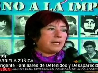 Indignación en Chile por declaraciones de Embajador en Arge
