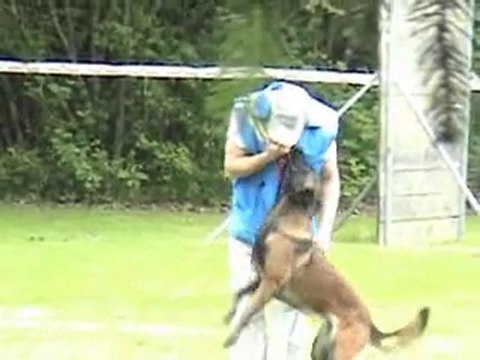 Alien du domaine n'kenia montbéliard 2010