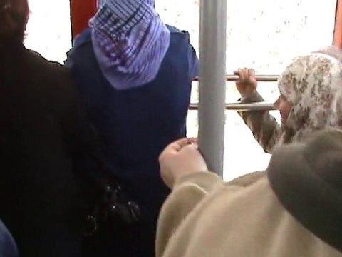 Antalya Tahtalı Dağı Doğası Çıkış - Tahtalı Output Section