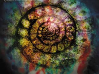 Organizational Clarity