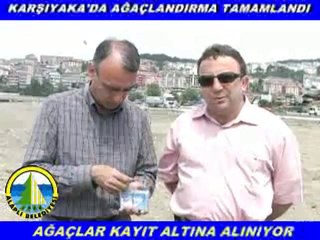 ALAPLI'DA AĞAÇLAR KAYIT ALTINA ALINIYOR