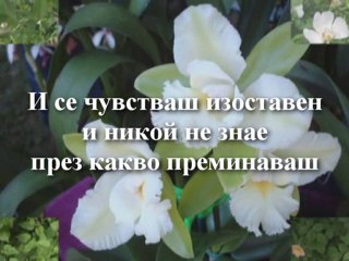 Carlene - God Has A Way