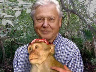 The Strangest Video Ever