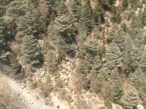 Antalya Tahtalı Dağı Doğası İniş 1 - Downhill Mountain