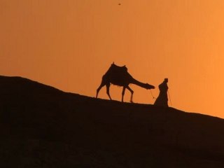 That's The Way FMX Movie Teaser V1 by MM Production