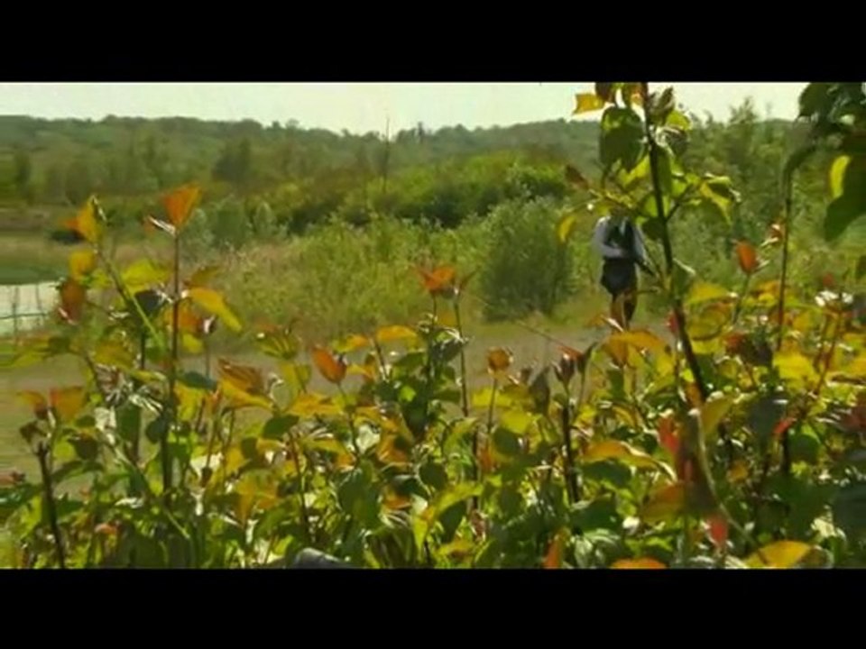 Bande annonce -  Black  wolf