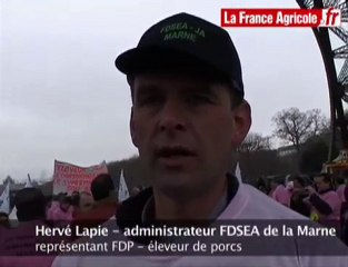 Crise du porc : les éleveurs tirent la sonnette d'alarme