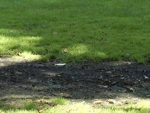 Il était une fois le parc de Noisiel - partie II