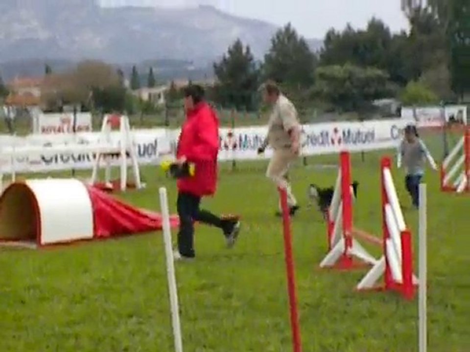 Elektra 13 mois à Aubagne 1er changement de terrain.