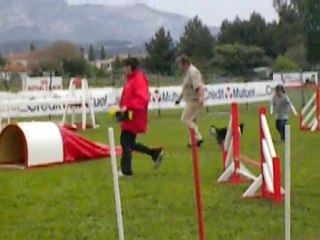 Elektra 13 mois à Aubagne 1er changement de terrain.