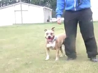 C'Prisca De La Maison d'Este