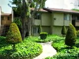 Arrow Village Apartments in Covina, CA - ForRent.com