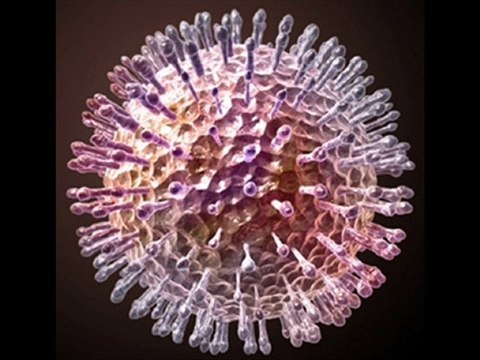 Descubra Como Curar su Herpes