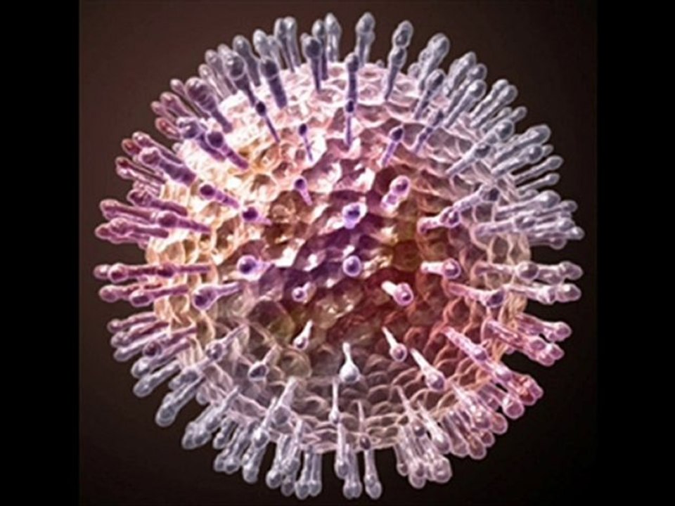 Descubra Como Curar su Herpes