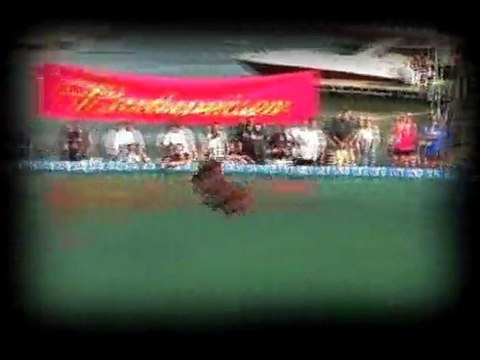 Dock Dogs - Lake of the Ozarks Dog Days